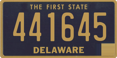 DE license plate 441645