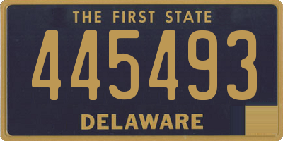 DE license plate 445493