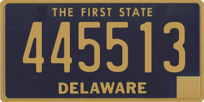 DE license plate 445513