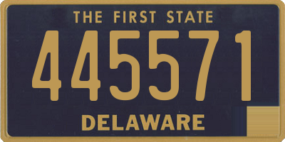 DE license plate 445571