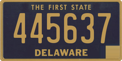 DE license plate 445637