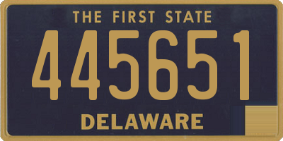 DE license plate 445651