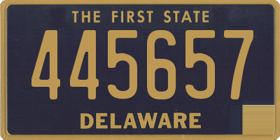 DE license plate 445657