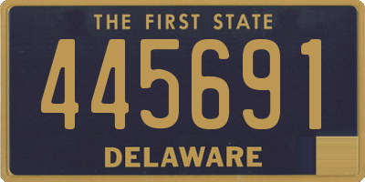 DE license plate 445691