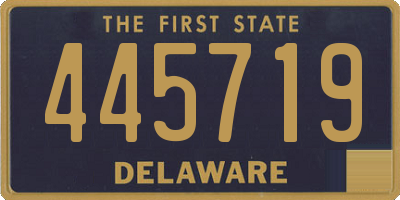 DE license plate 445719
