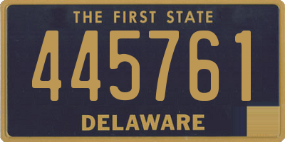 DE license plate 445761