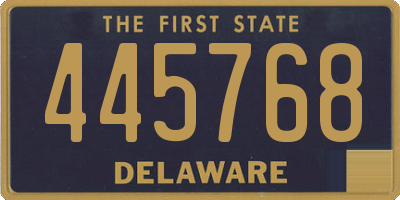 DE license plate 445768