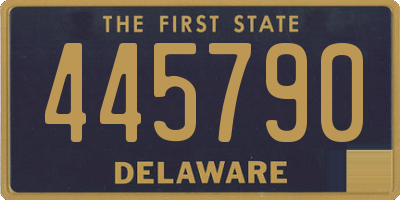 DE license plate 445790