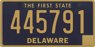 DE license plate 445791