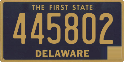 DE license plate 445802