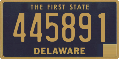 DE license plate 445891