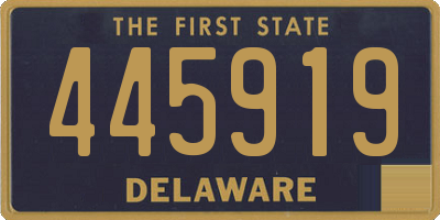 DE license plate 445919