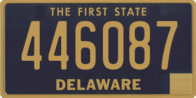 DE license plate 446087