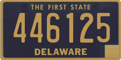 DE license plate 446125