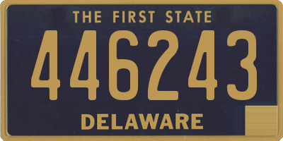 DE license plate 446243