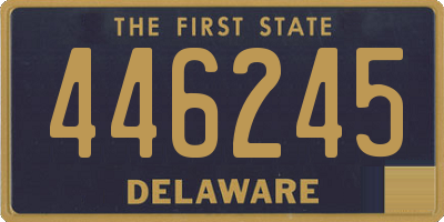 DE license plate 446245