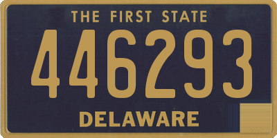 DE license plate 446293