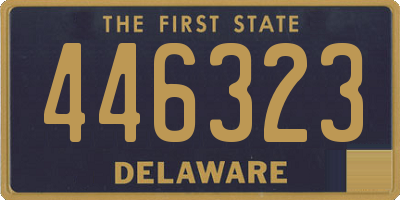 DE license plate 446323