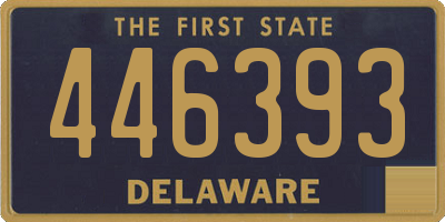 DE license plate 446393