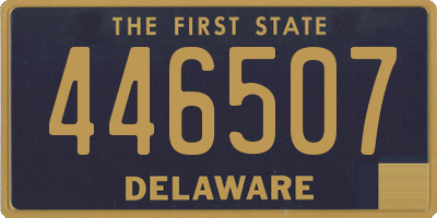 DE license plate 446507