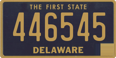 DE license plate 446545