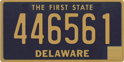 DE license plate 446561