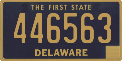 DE license plate 446563