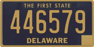 DE license plate 446579