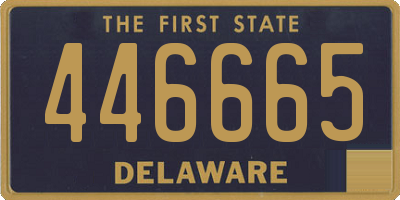 DE license plate 446665