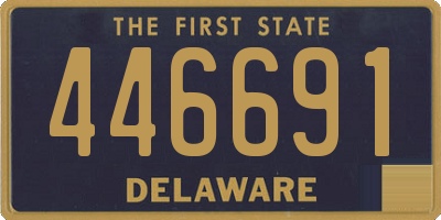 DE license plate 446691