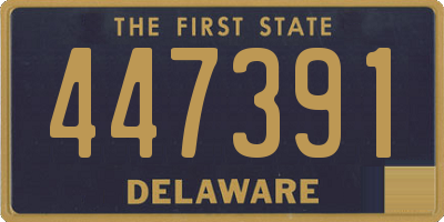 DE license plate 447391
