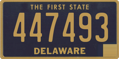 DE license plate 447493