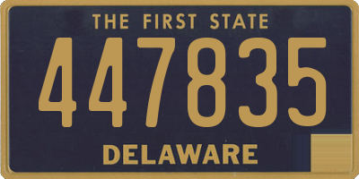 DE license plate 447835