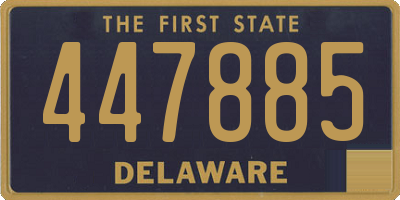 DE license plate 447885