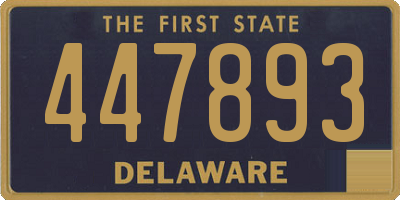 DE license plate 447893