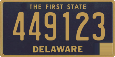 DE license plate 449123