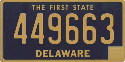 DE license plate 449663