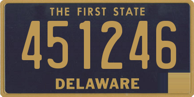 DE license plate 451246