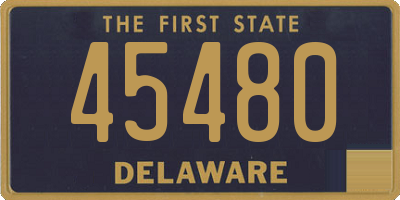 DE license plate 45480