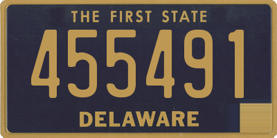 DE license plate 455491