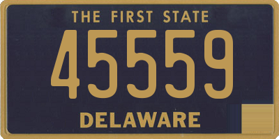 DE license plate 45559