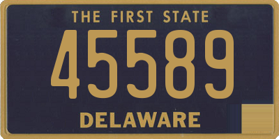 DE license plate 45589