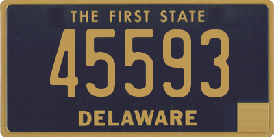 DE license plate 45593