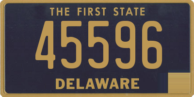 DE license plate 45596