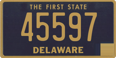 DE license plate 45597