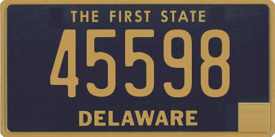 DE license plate 45598