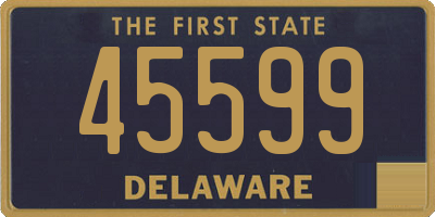 DE license plate 45599