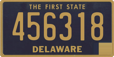 DE license plate 456318