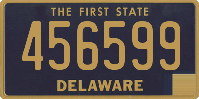 DE license plate 456599
