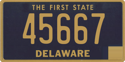 DE license plate 45667